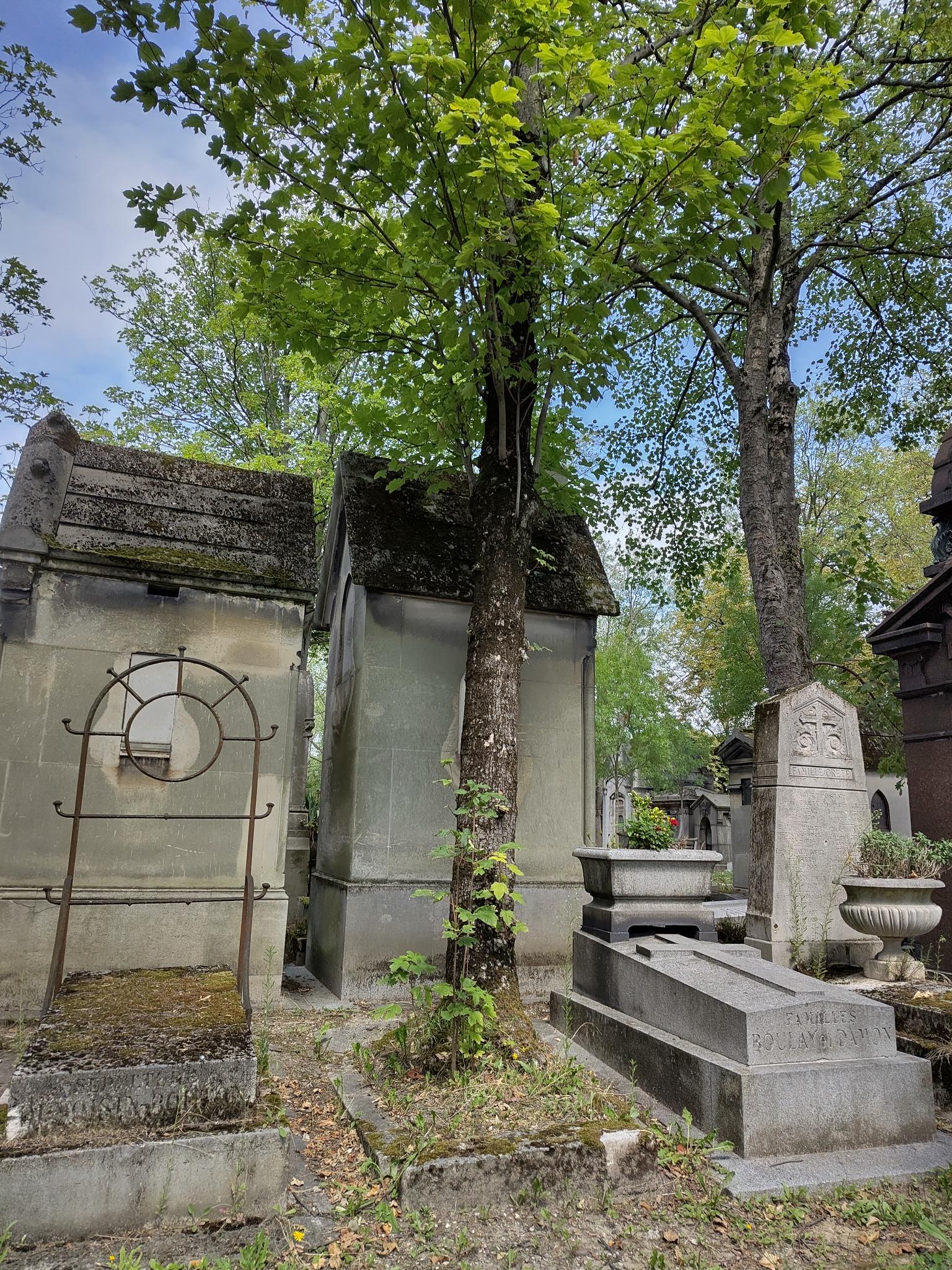 L&rsquo;arbre-spectre