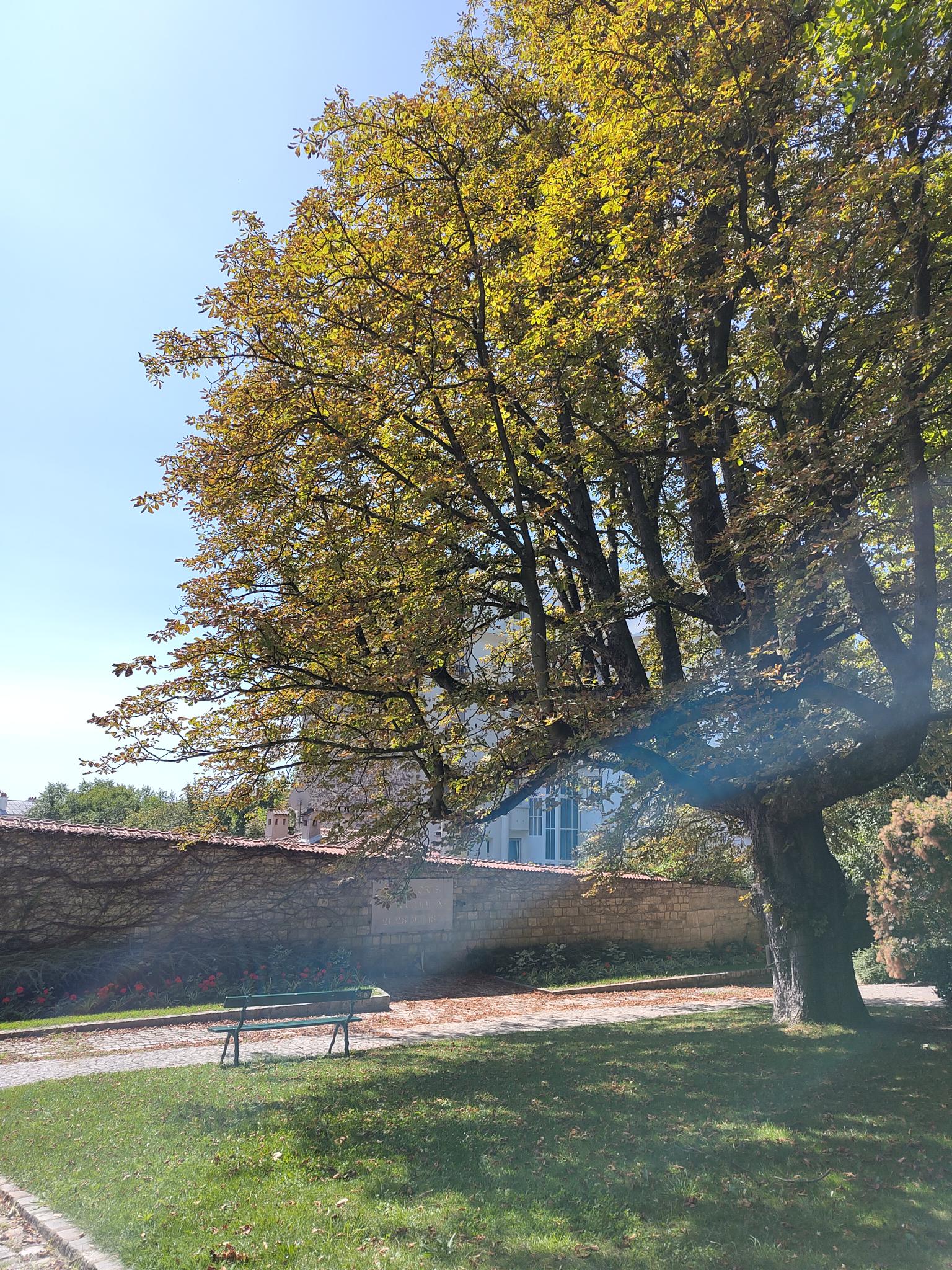 Mur des Fédérés - Papa